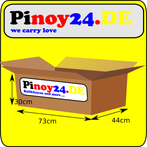 Balikbayan Box Small 73x44x30cm
